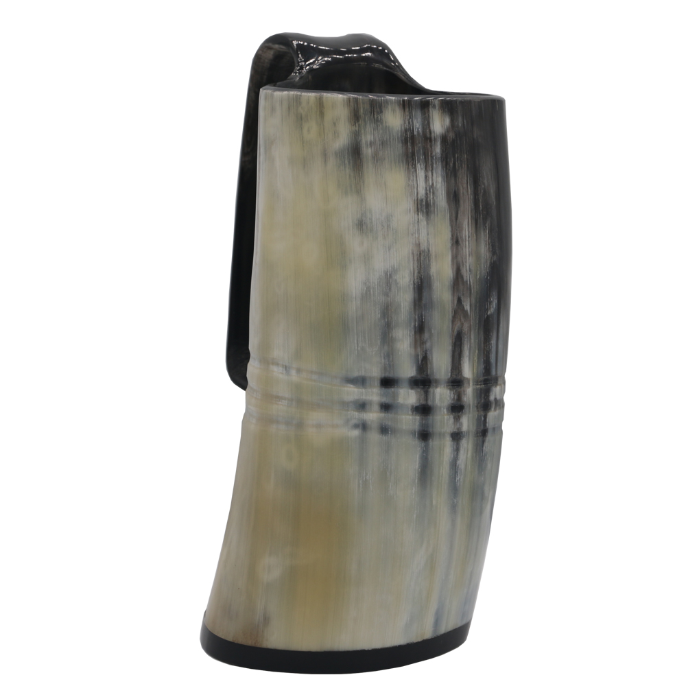 Corne viking scandinave — vue 2