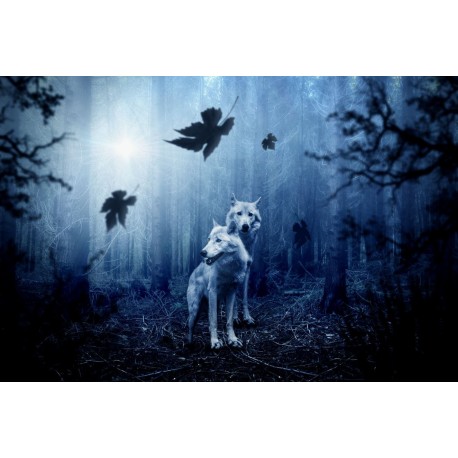 Drapeau Loup Freki &amp; Geri