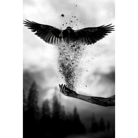 Drapeau Valkyrie - Corbeau