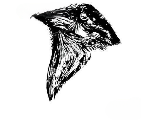 Stickers Corbeau | Noir et Blanc